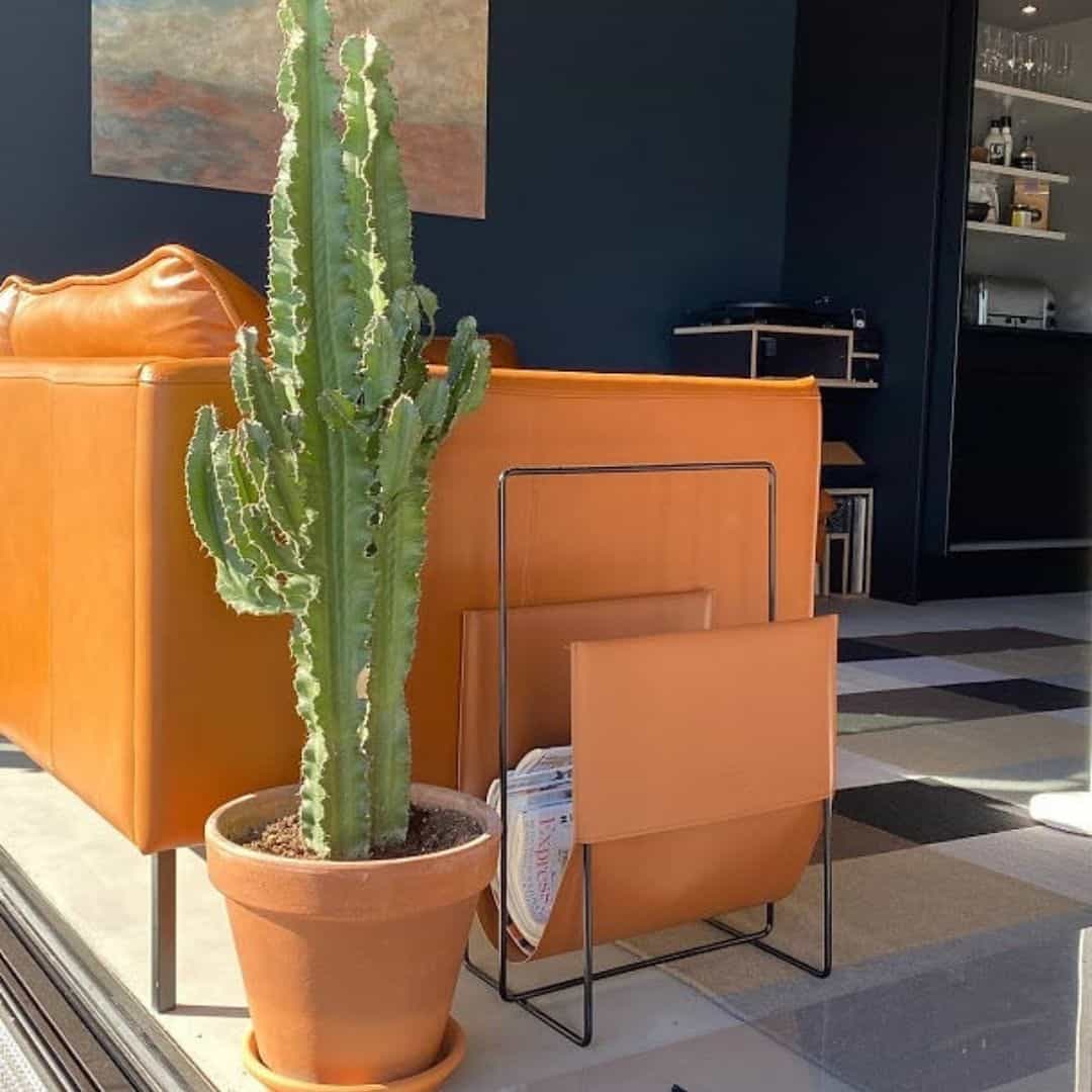 ESPOO-lehtiteline ruskea