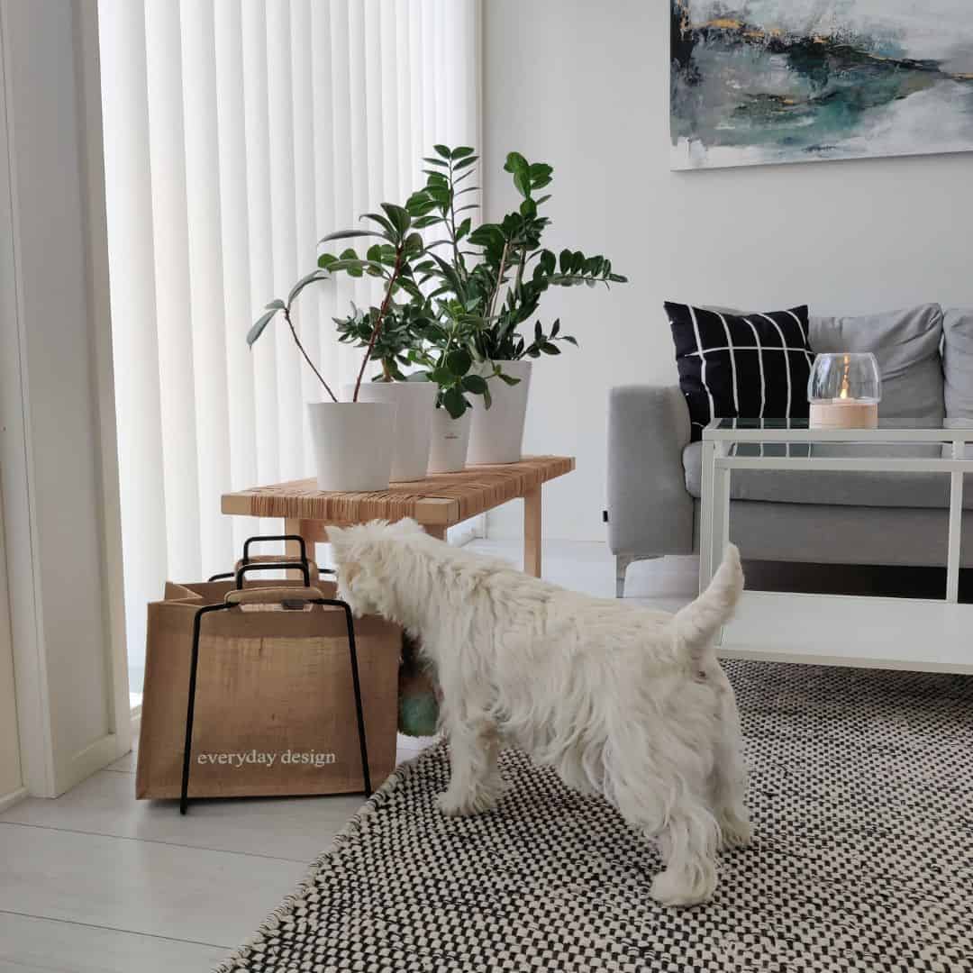 LAHTI-teline ja juuttikassi